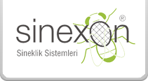 Sinexon